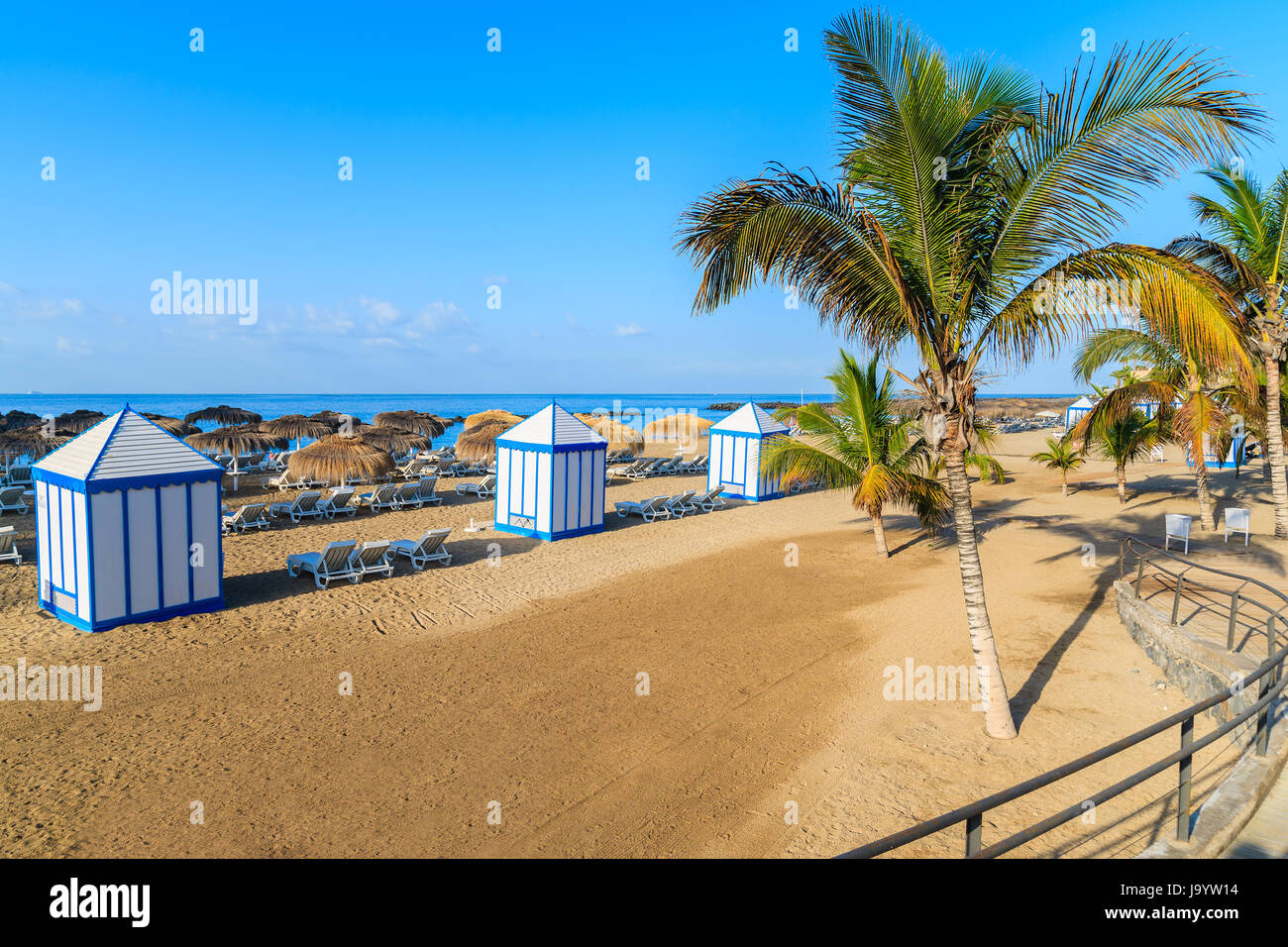 Palmen am Strand El Duque in Costa Adeje am Meer Stadt, Teneriffa, Kanarische Inseln, Spanien Stockfoto