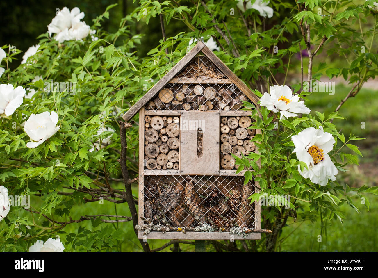 Holz- Insekt Haus - Hotel in einen Sommergarten Stockfoto
