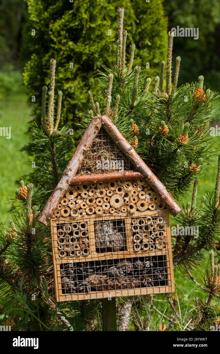 Holz- Insekt Haus im Sommergarten Stockfoto