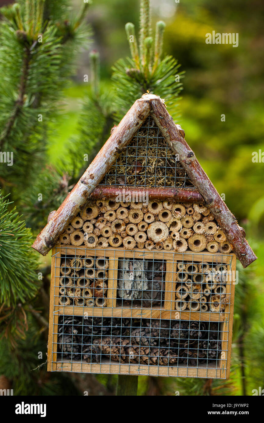 Holz- Insekt Haus - Hotel in einen Sommergarten Stockfoto