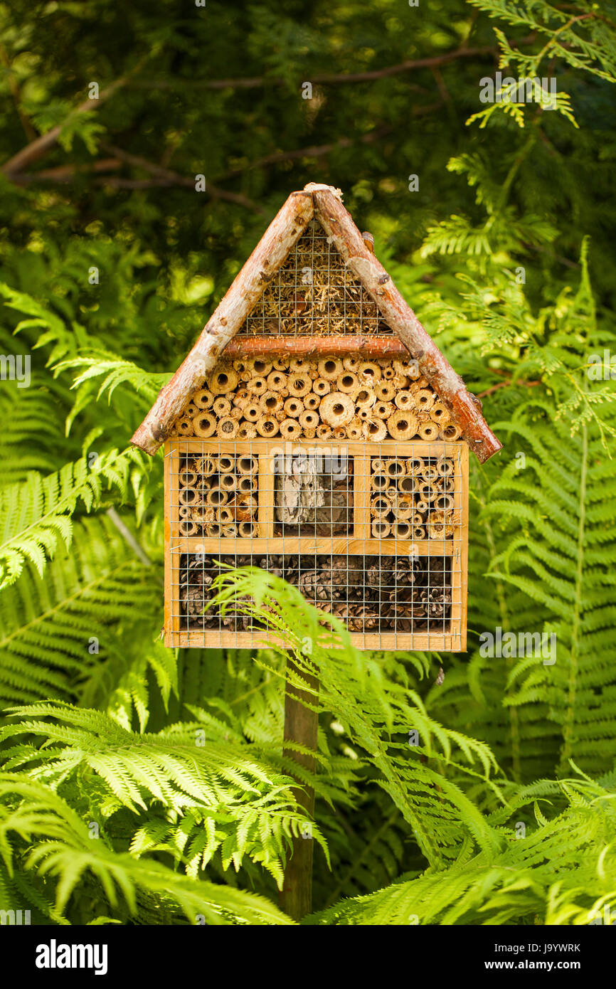 Insektenhaus im Sommergarten Stockfoto