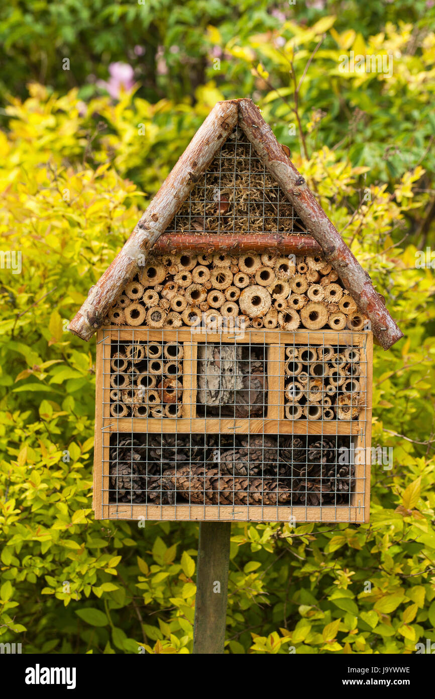 Insekt Haus im Sommergarten Stockfoto
