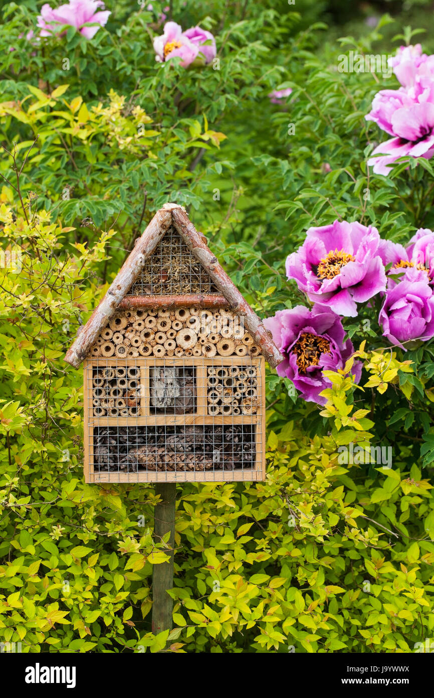 Insektenhaus im Sommergarten Stockfoto