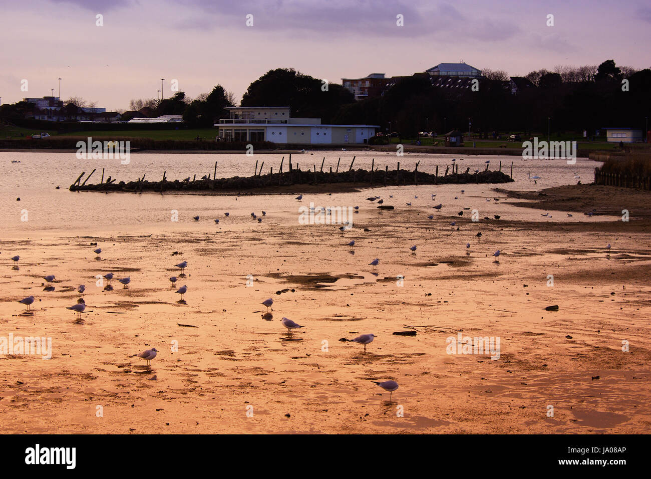 Poole Park Stockfoto