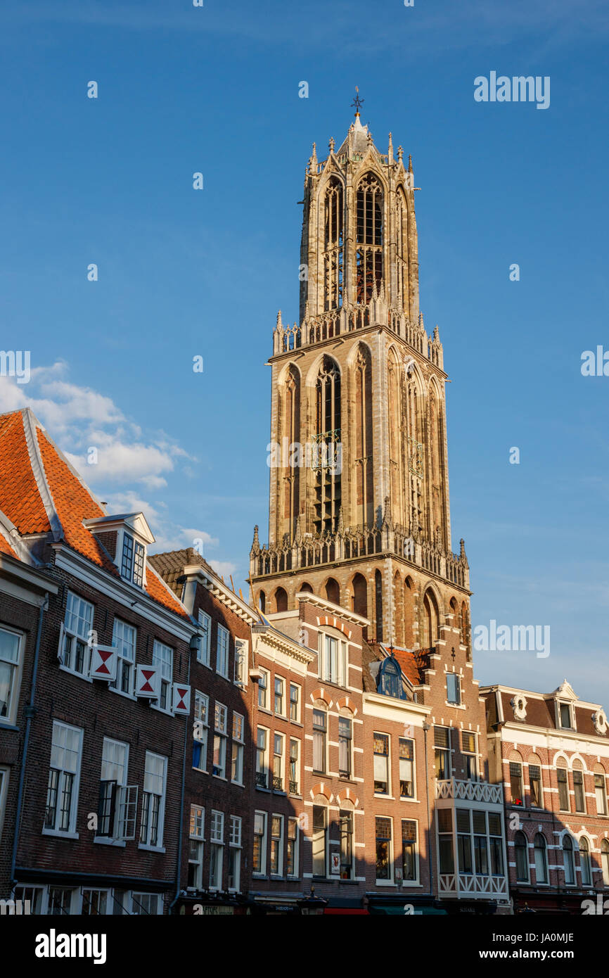 Dom-Turm der St.-Martins-Dom und Häuser aus dem Vismarkt (Fischmarkt) an einem sonnigen Tag, Utrecht, Niederlande. Stockfoto