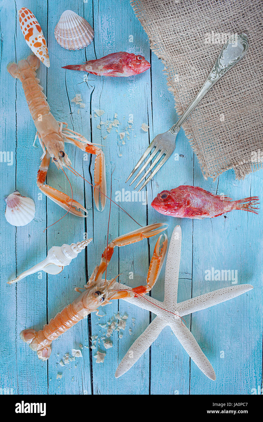 Konzept des Meeres auf den Tisch: rohe Hummer, Drachenköpfe und Muscheln auf blauem Hintergrund aus Holz. Stockfoto