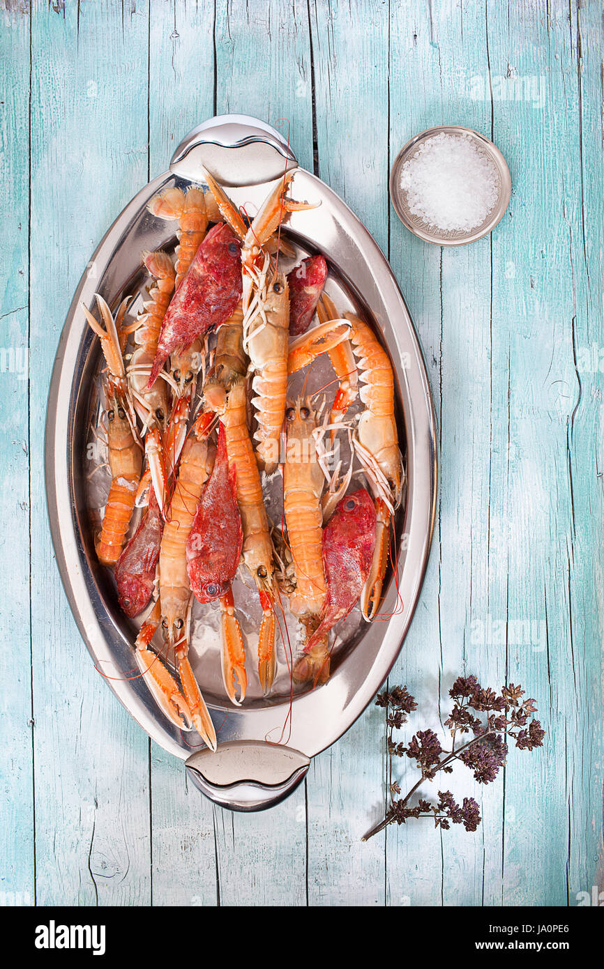 Ovale Platte mit frischem rohen Hummer und Drachenköpfe auf Holz Hintergrund, mit grobem Salz und Thymian Blumen, Ansicht von oben geschossen. Stockfoto