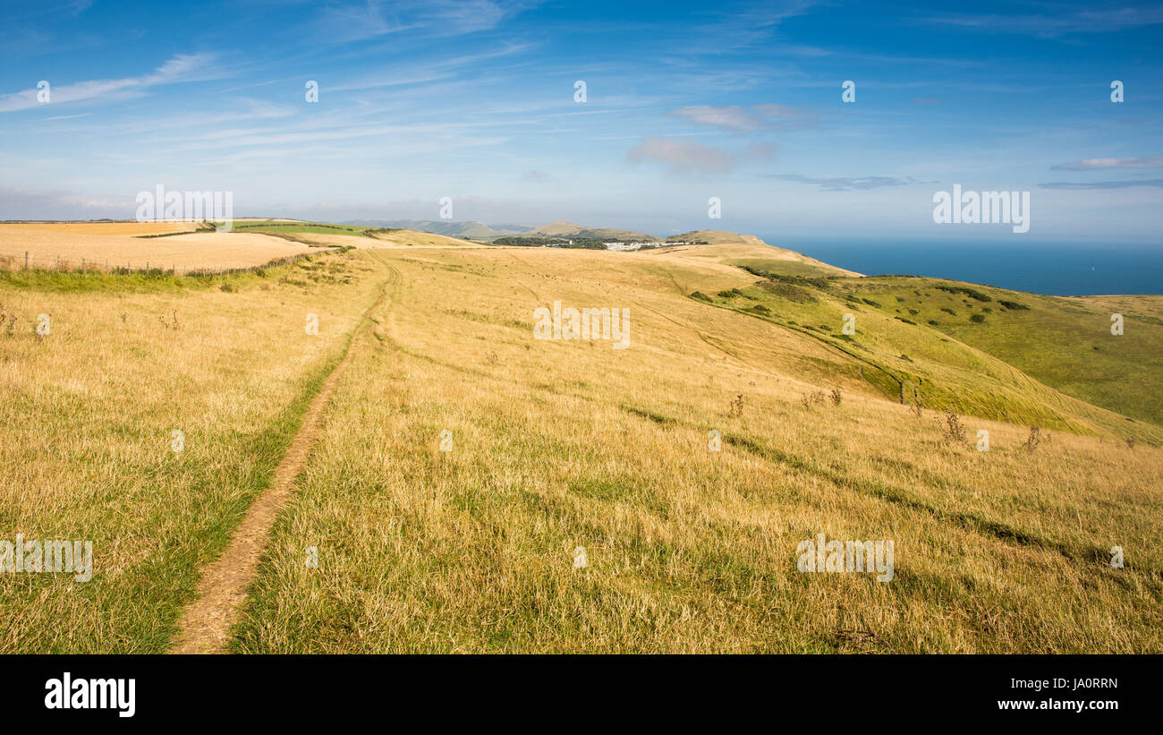 Ein Fußweg führt durch Grünland auf die hügelige Landschaft der Purbeck Hügel über Englands Jurassic Coast in South Dorset. Stockfoto