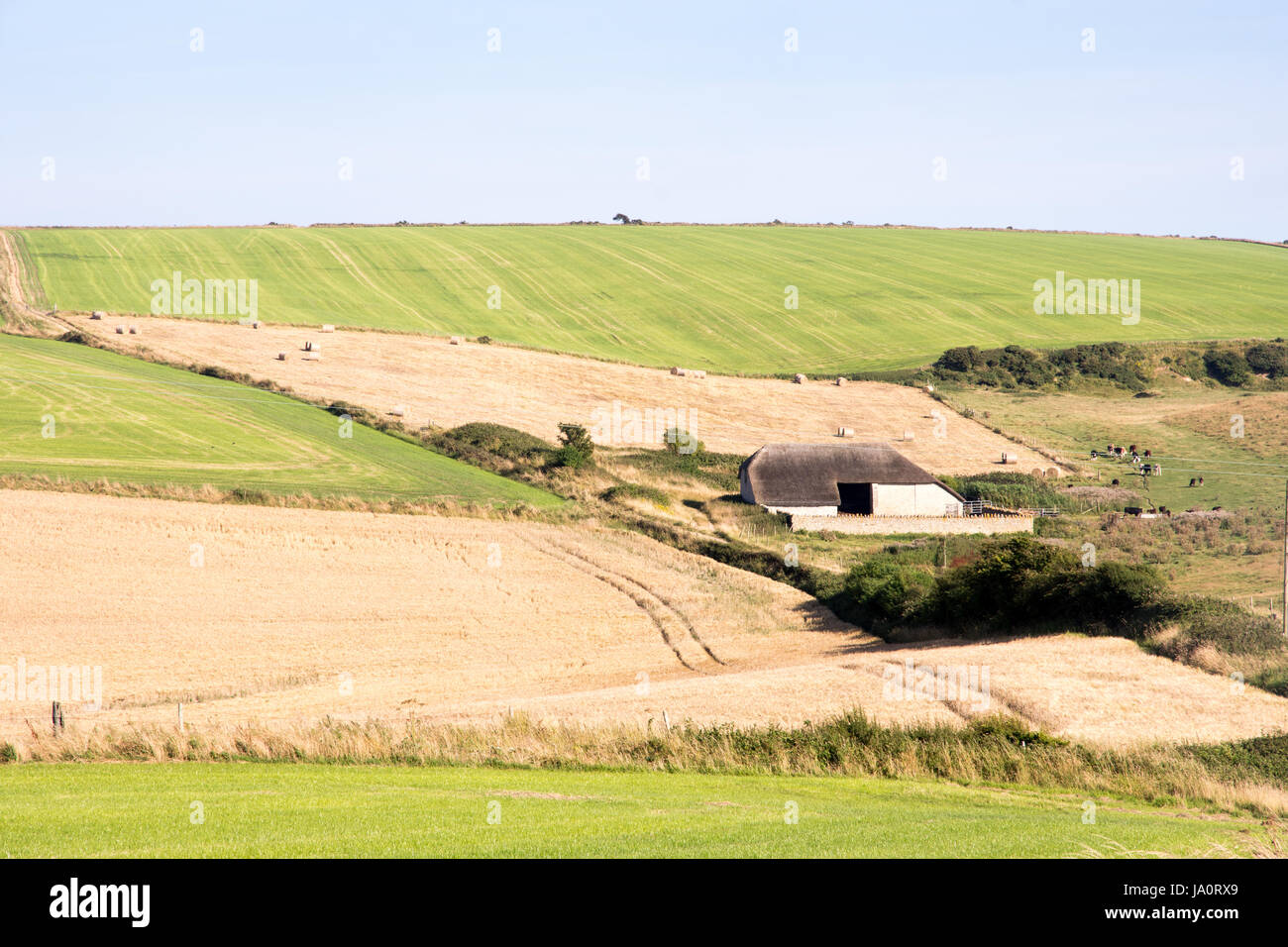 Eine traditionellen Scheune befindet sich unter den Bereichen Getreide, Vieh Weiden und Heuballen im Purbeck Bezirk von South Dorset. Stockfoto