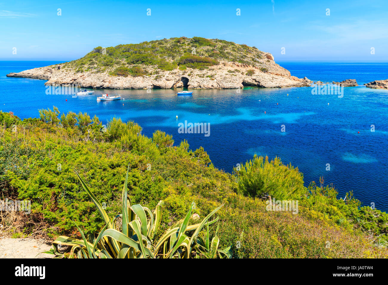 Agave-Pflanze wächst auf Küste und Blick auf die Fischerboote am Meer in Cala Portinatx Bucht, Insel Ibiza, Spanien Stockfoto