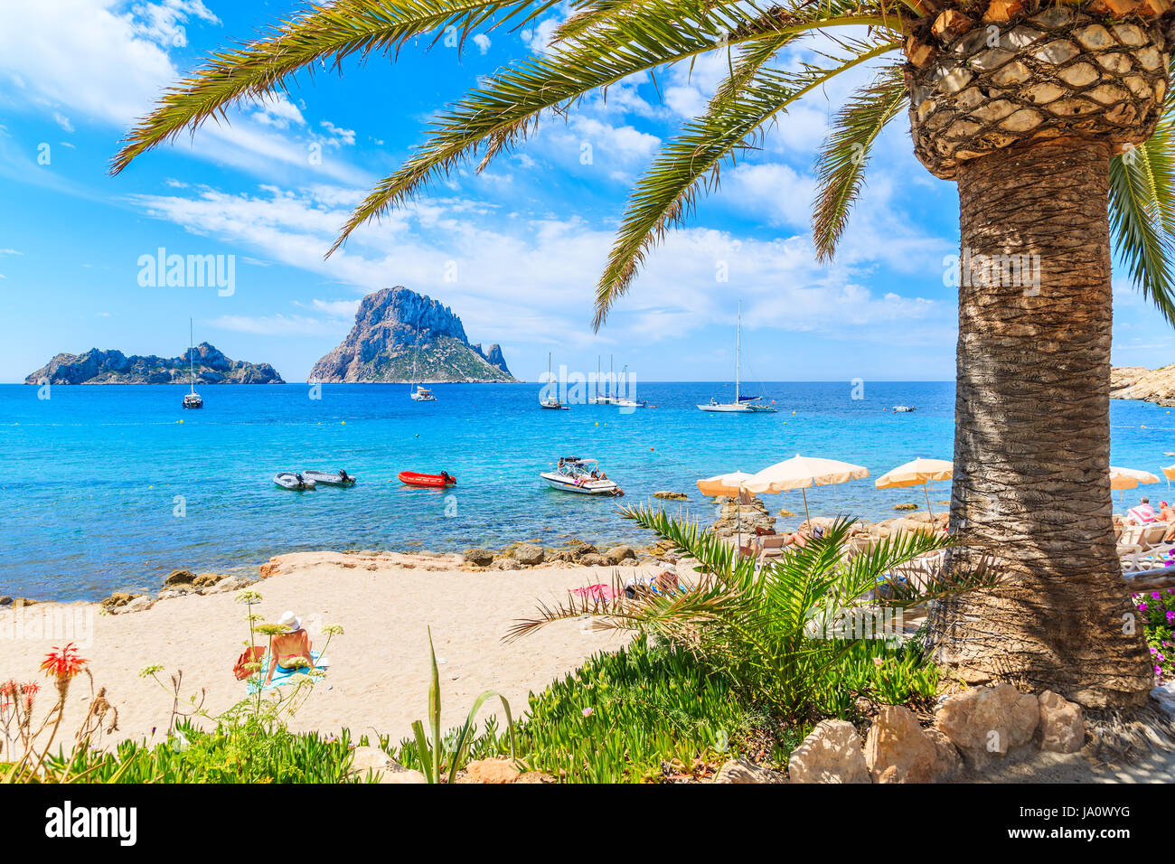 Blick auf den idyllischen Strand von Cala d ' Hort Wih Palme im Vordergrund, Insel Ibiza, Spanien Stockfoto