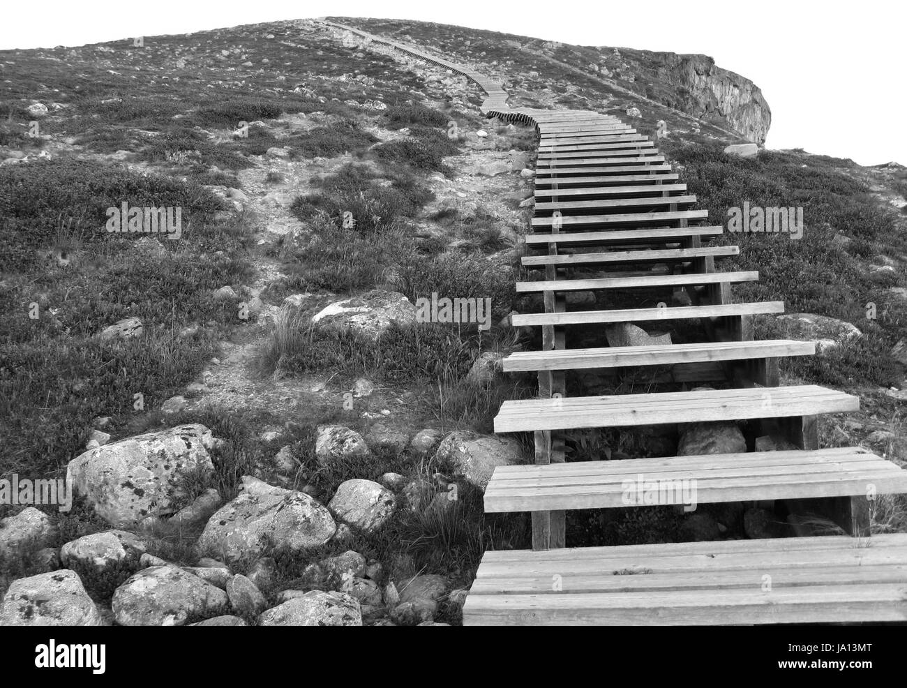 Stein, Holz, Lappland, hoch, Wandern, trail, groß, Berg, Wiese, Rasen, Rasen, grün Stockfoto