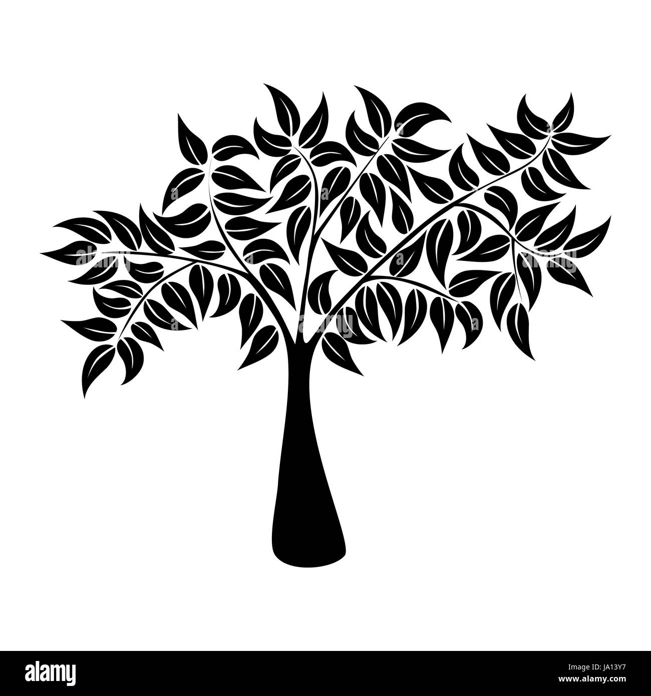 Blatt, Ordensleben, existieren, Dasein, Leben, Leben, Leben, Umwelt, Stockfoto