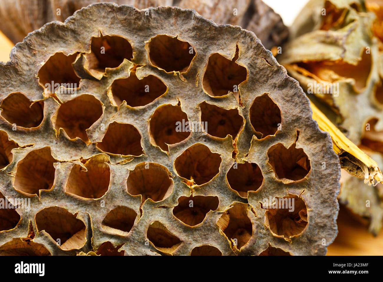 Get Sie verlieren Desktop Wallpaper Free Sie Verlieren