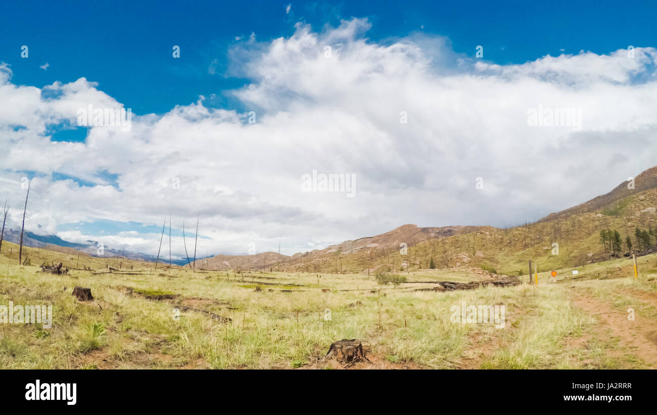 Feldweg in nach Feuer Waldgebiet in den Bergen nahe dem See Cheesman