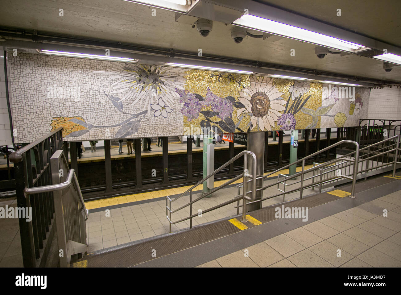 Mosaik-Kunst auf dem Display an der Haltestelle 77th Street der IRT Lexington Avenue Line auf der Upper East Side von Manhattan, New York City. Stockfoto