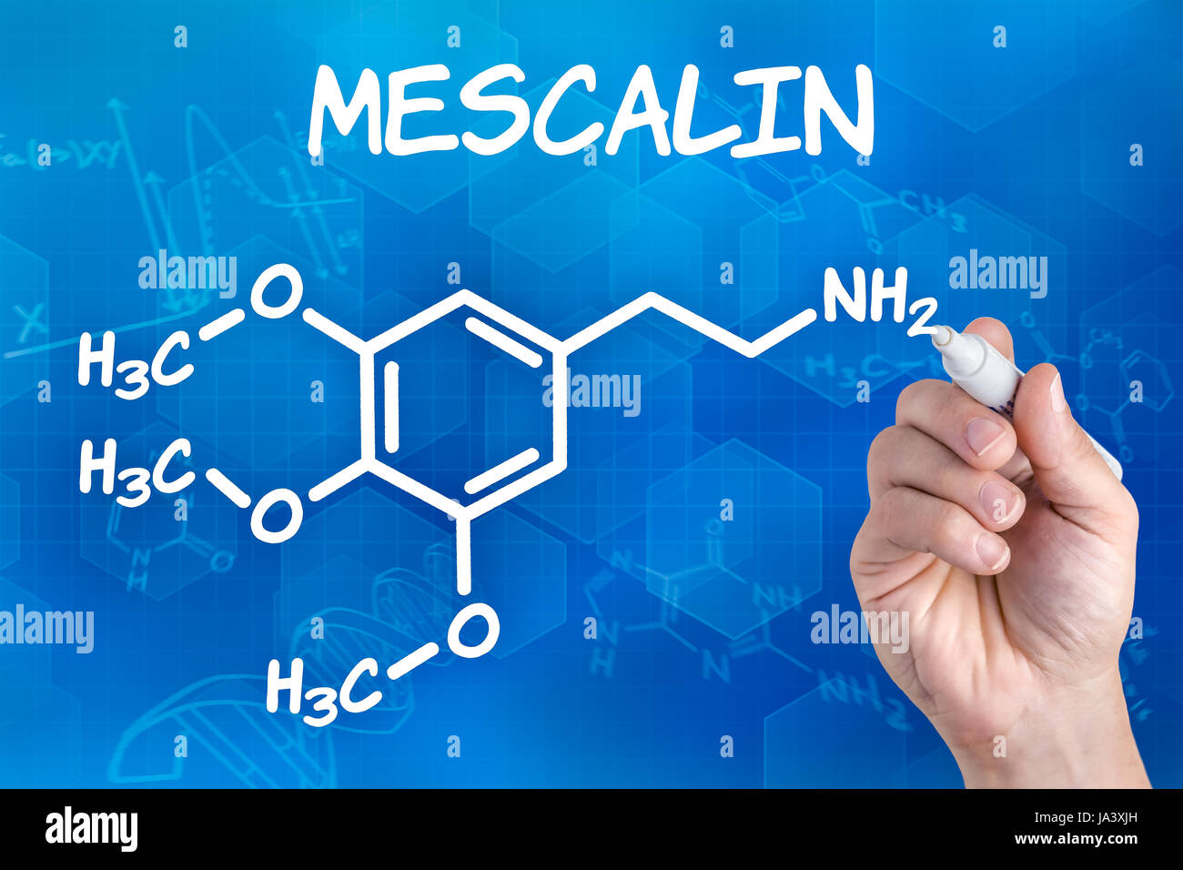 Hand mit Bleistift zeichnet chemische Strukturformel von Meskalin Stockfoto