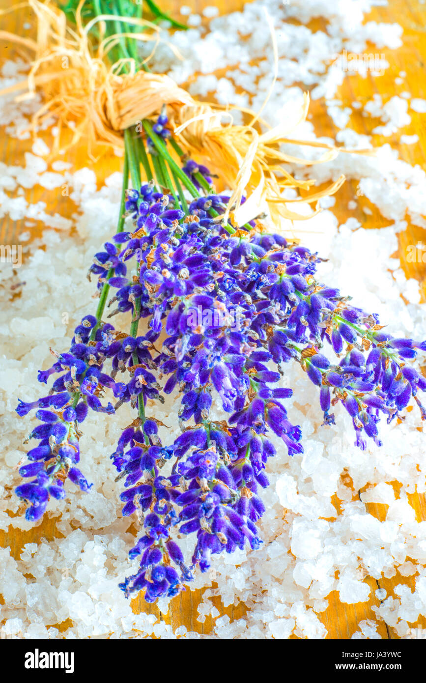 Lavendel, Liga, Baden, frische, genießen, Stillleben, Tee, Makro, Nahaufnahme, Stockfoto Lavendel, Liga, Baden, frische, genießen, Stillleben, Tee, Makro, Nahaufnahme, Stockfoto