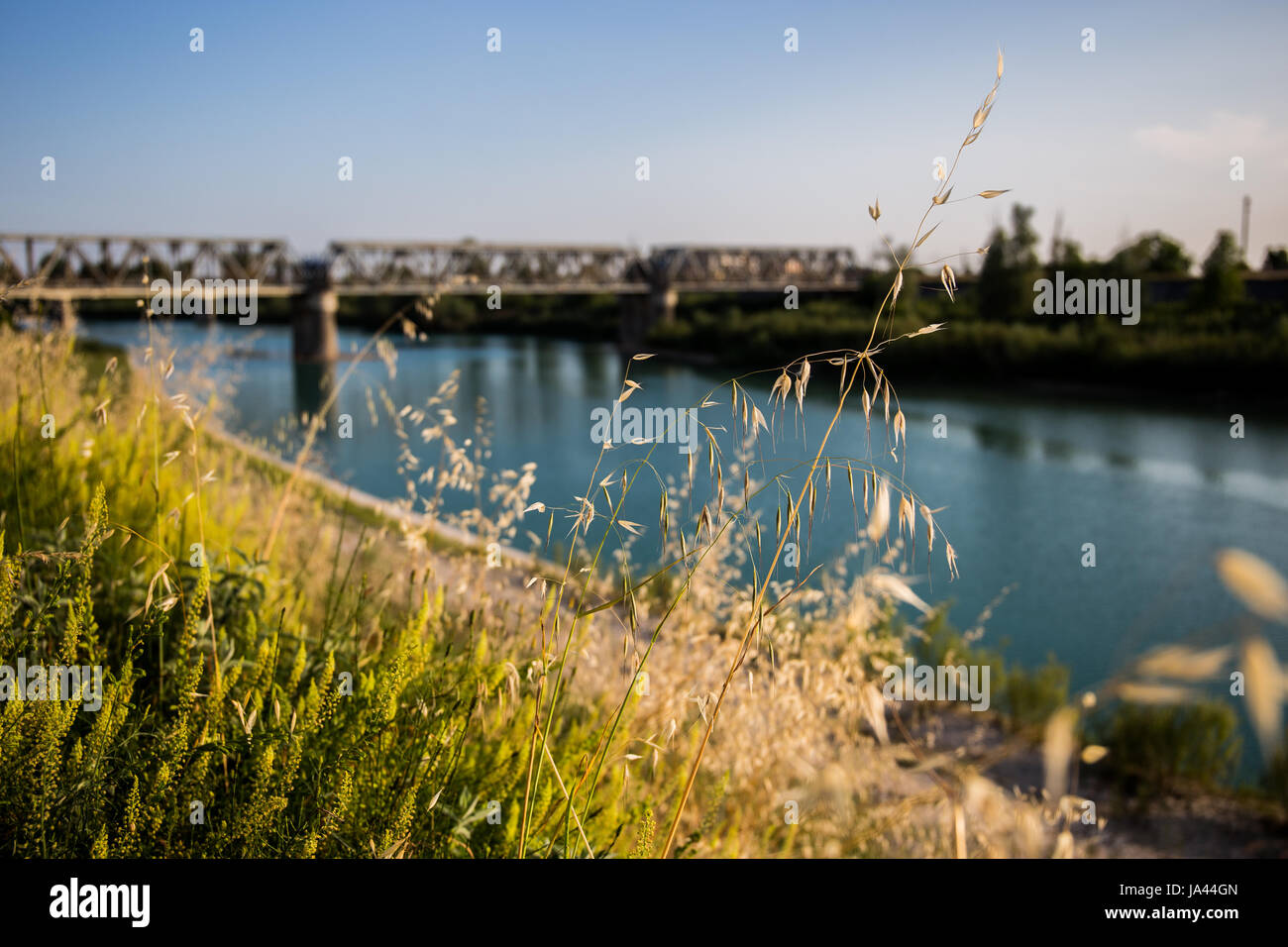 Ein großer Fluss mit einer Brücke mit Bahn verfolgt Landschaft Stockfoto