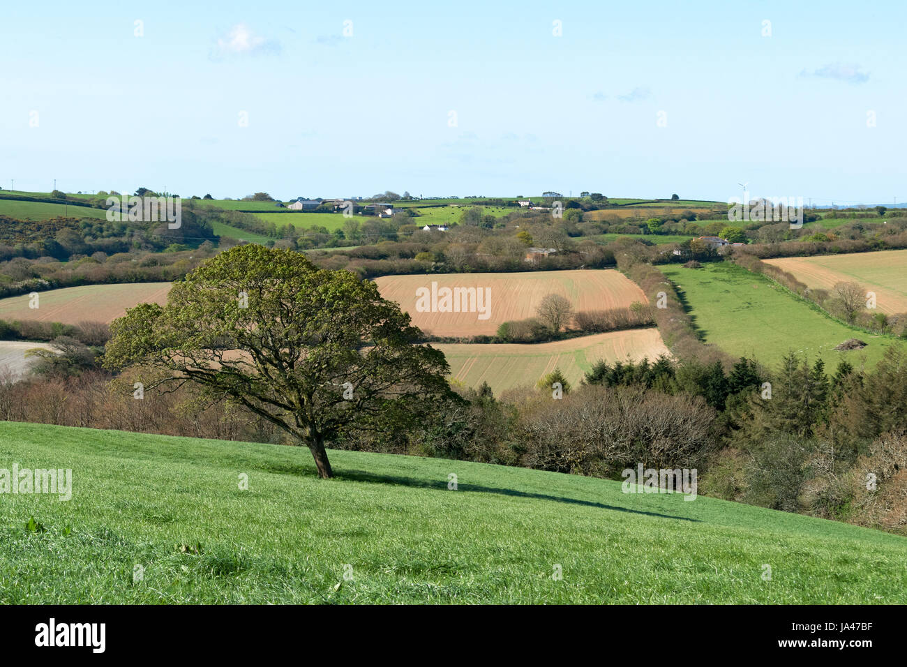 Ackerland und Landschaft in der Nähe von Truro in Cornwall, England, uk. Stockfoto