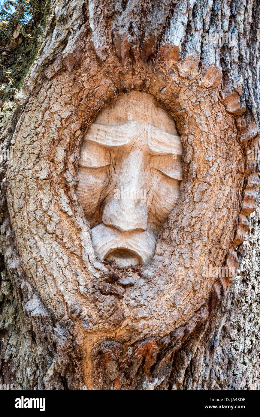 St. Simons Island Baum Geist, Magnolia Manor St. Simons Island, Georgia Stockfoto
