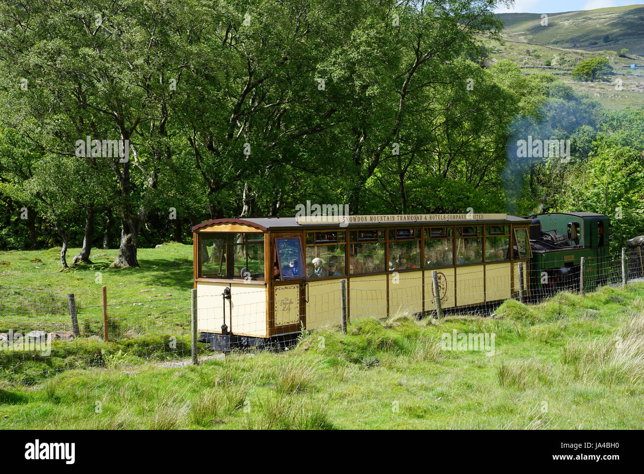 Dampfzug auf der Snowdon Mountain Railway, Gwynedd, Nordwales, UK. Stockfoto