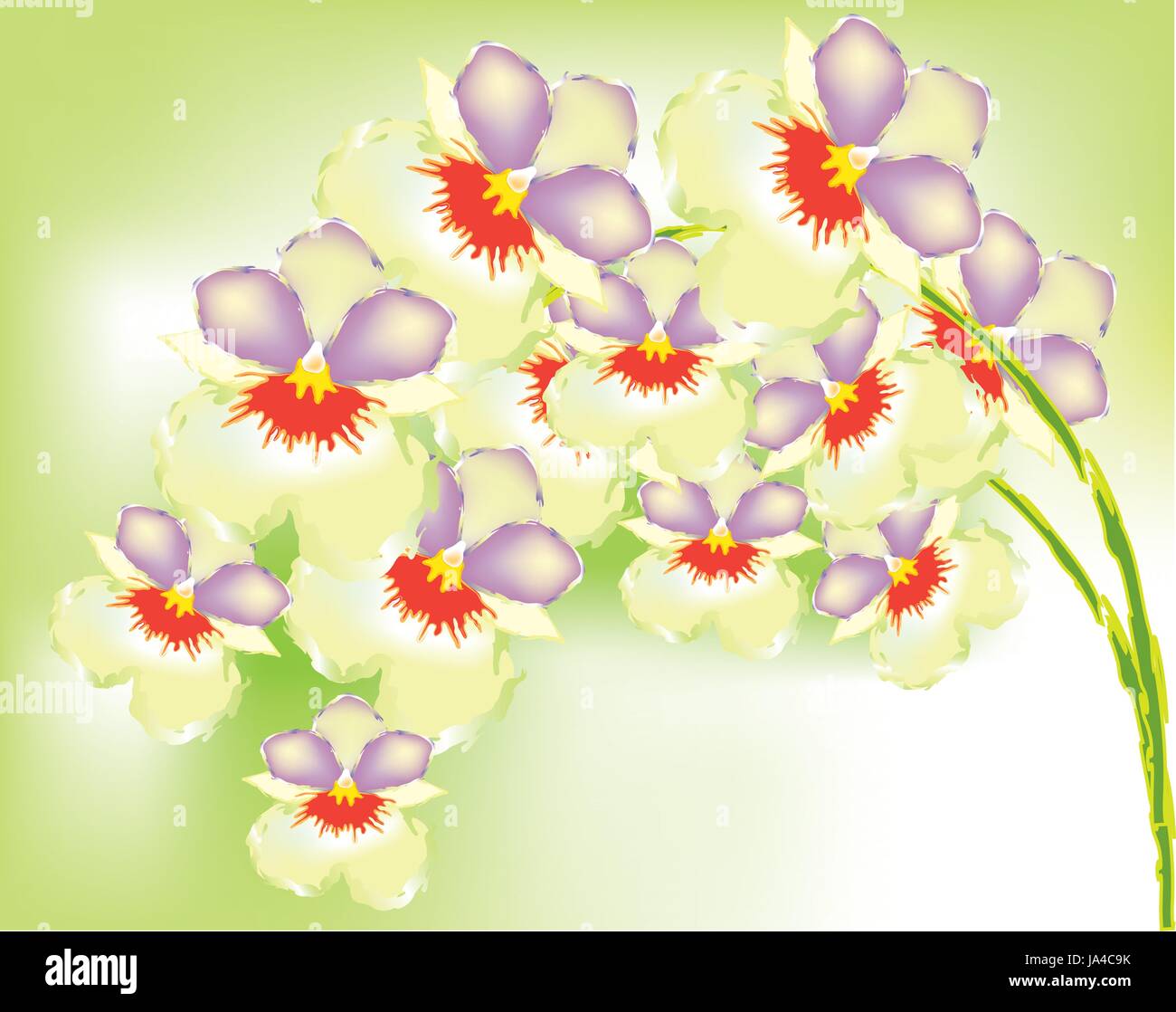 Schöne Orchideen auf grünem Farbverlauf Hintergrund Stock Vektor