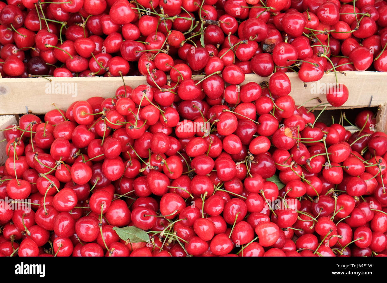 rote Kirschen auf Marktstand Stockfoto