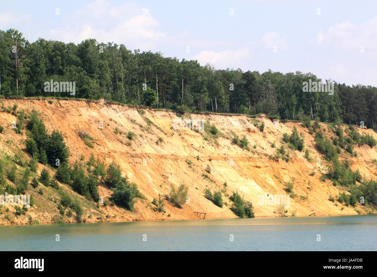 Umwelt, Umwelt, Fluss, Tier, Vogel, Wild, Strand, Meer, Strand, Stockfoto