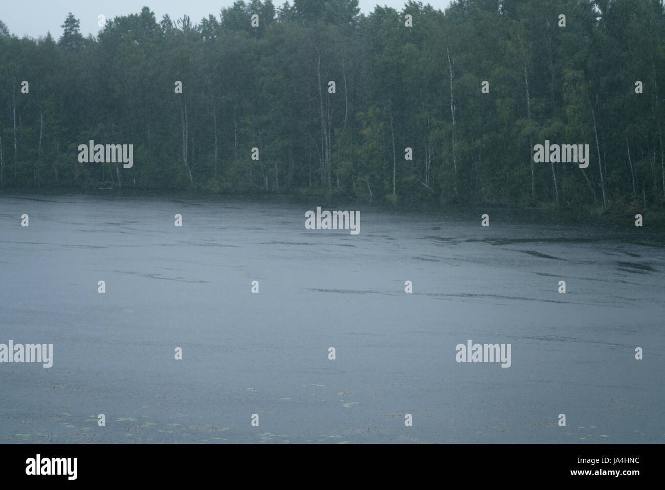 nebligen Morgen auf skandinavischen See mit Regen Wellen auf dem Wasser Stockfoto