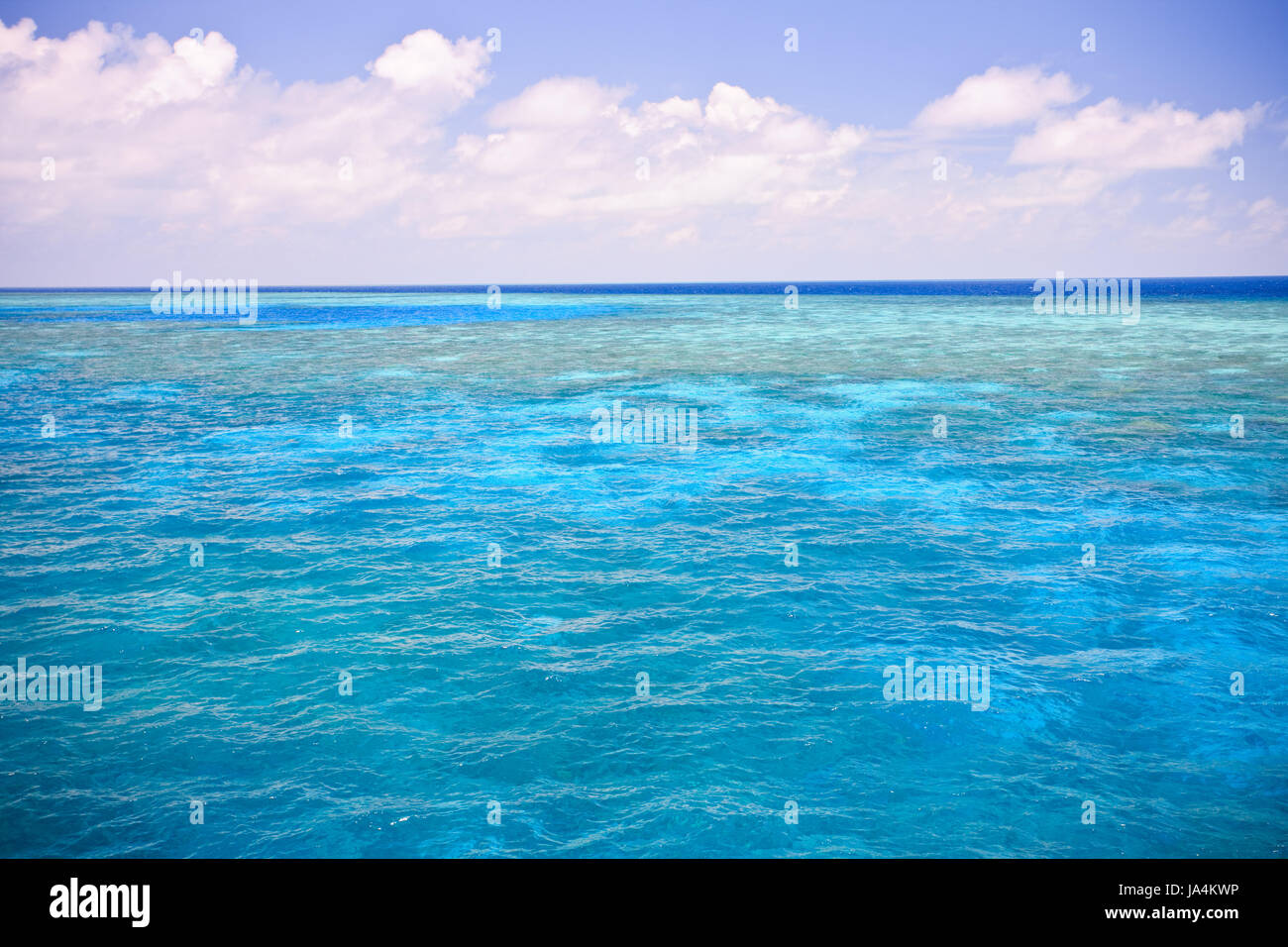 blau, Menschen, Menschen, Menschen, Folk, Personen, Mensch, Mensch, Leben, Stockfoto