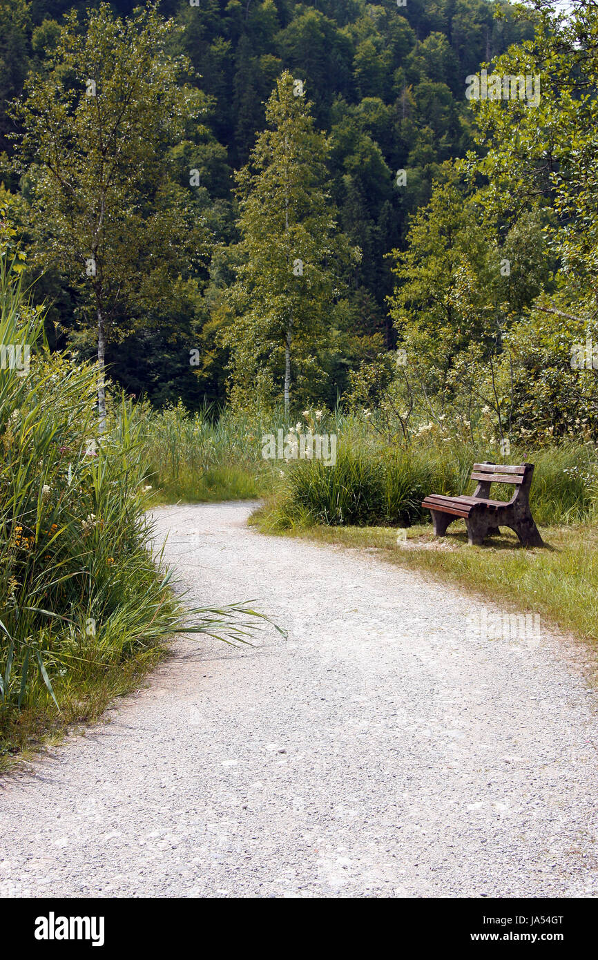 der richtige Weg Stockfoto