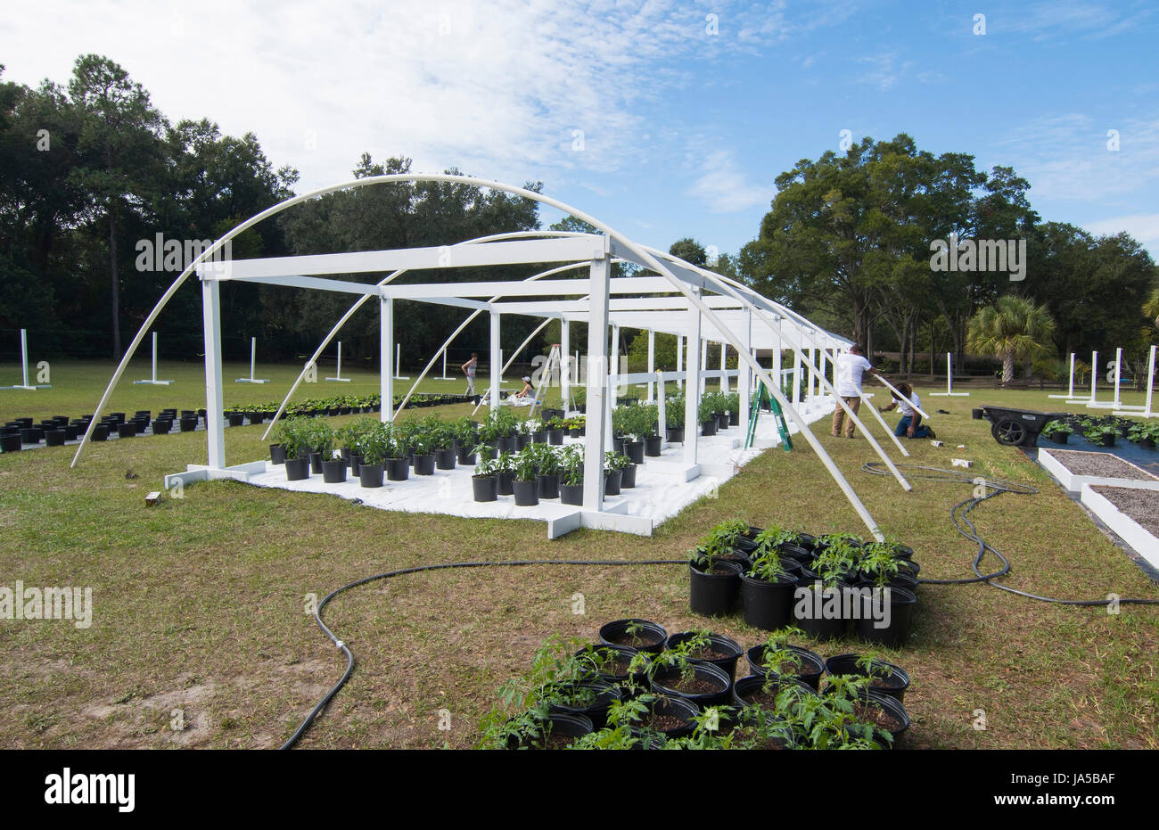 Zentralflorida Bio Garten Hausbau Männer Gebäude im Hinterhof für gesunde Ernährung und Essen auf dem Bauernhof coop Stockfoto