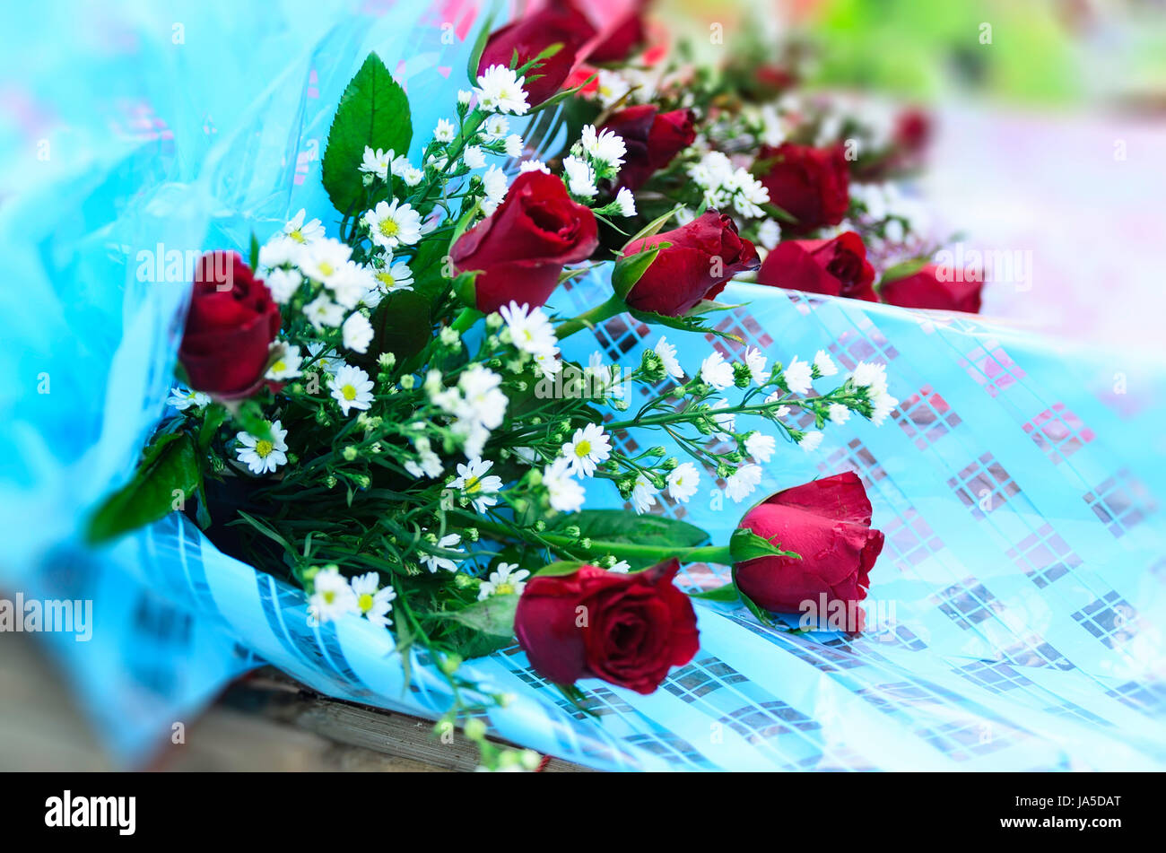 Blume, rose, Pflanzen, feiern, schwelgen, schwelgt, feiert, weich, Strauß, Stockfoto