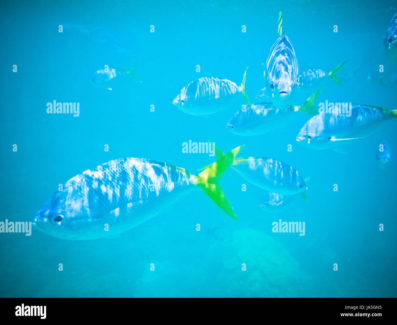 Menschen, Menschen, Menschen, Folk, Personen, Mensch, Mensch, Urlaub, Stockfoto