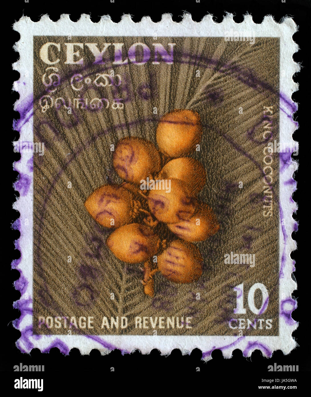 CEYLON - CIRCA 1957: Eine Briefmarke gedruckt in Ceylon (heute Sri Lanka) zeigt Bild des Königs Kokosnüsse, Serie, ca. 1957 Stockfoto