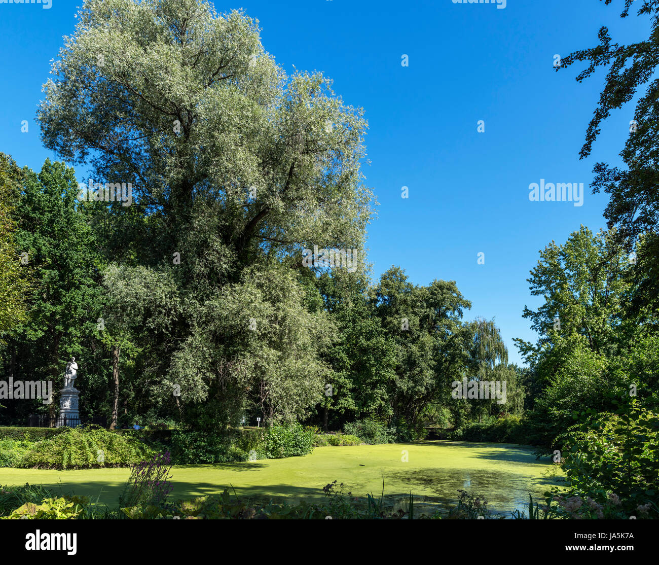 Tiergartengewässer aus Luiseninsel, Tiergarten, Berlin, Deutschland Stockfoto