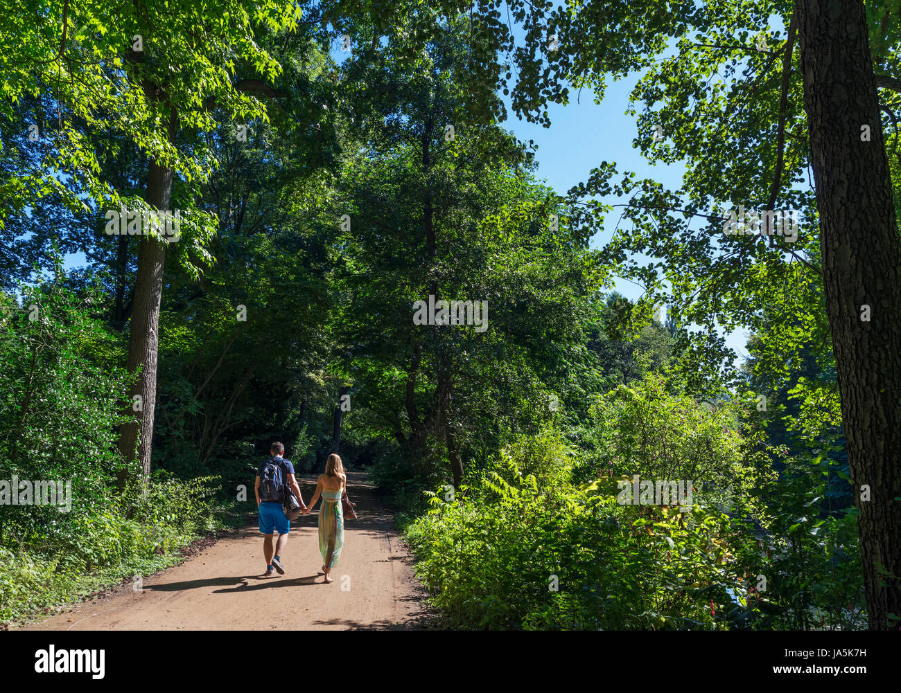 Paare, die einen Weg im Tiergarten, Berlin, Deutschland Stockfoto