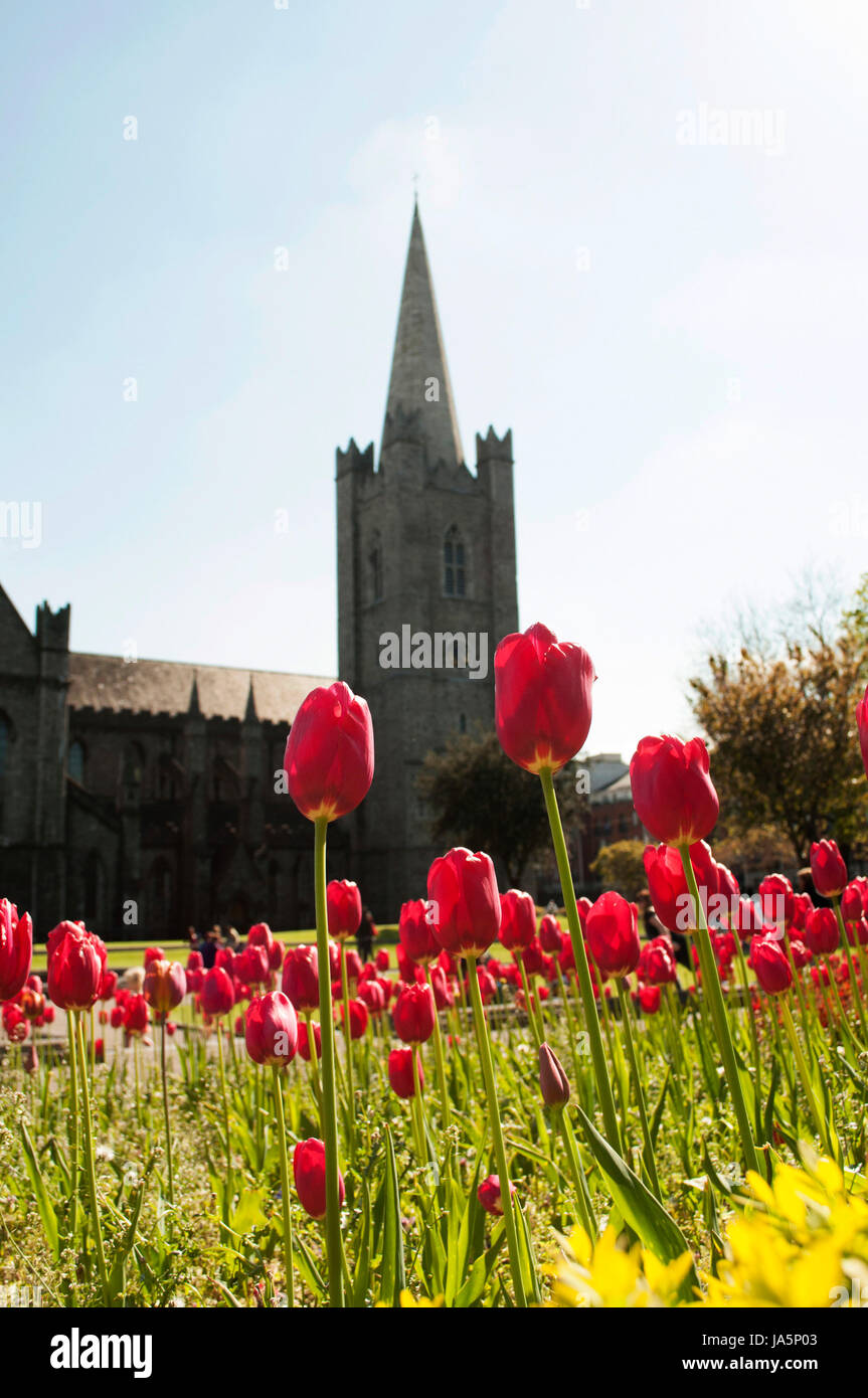 blau, Kirche, Gott, Garten, Blume, Pflanze, Dom, Tourismus, Glanz, glänzt, Stockfoto