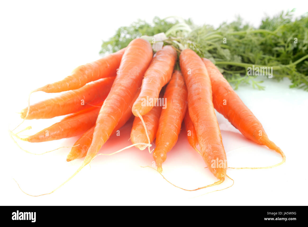 frische Karotten, früh, Karotten, frisch, Lebensmittel, Nahrungsmittel, Makro, Nahaufnahme, Makro Stockfoto