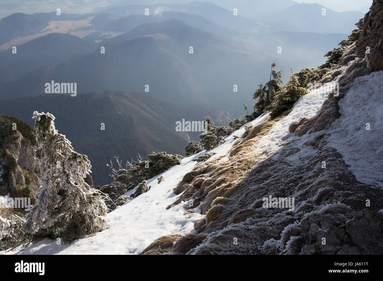 Steilen schneebedeckte bewaldeten alpine Hang mit Blick auf einen Blick über Berge und Täler unten in einer malerischen Winterlandschaft Stockfoto