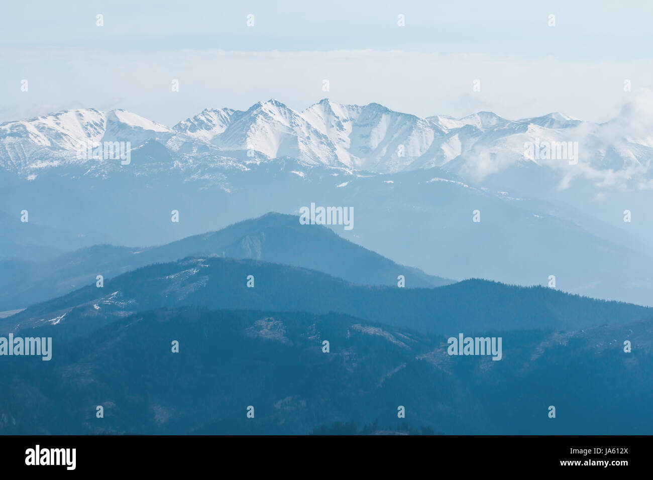 Alpine Landschaft mit großer Höhe schneebedeckten Bergen über bewaldete Gipfel an einem kalten düster blau getönten Wintertag Stockfoto