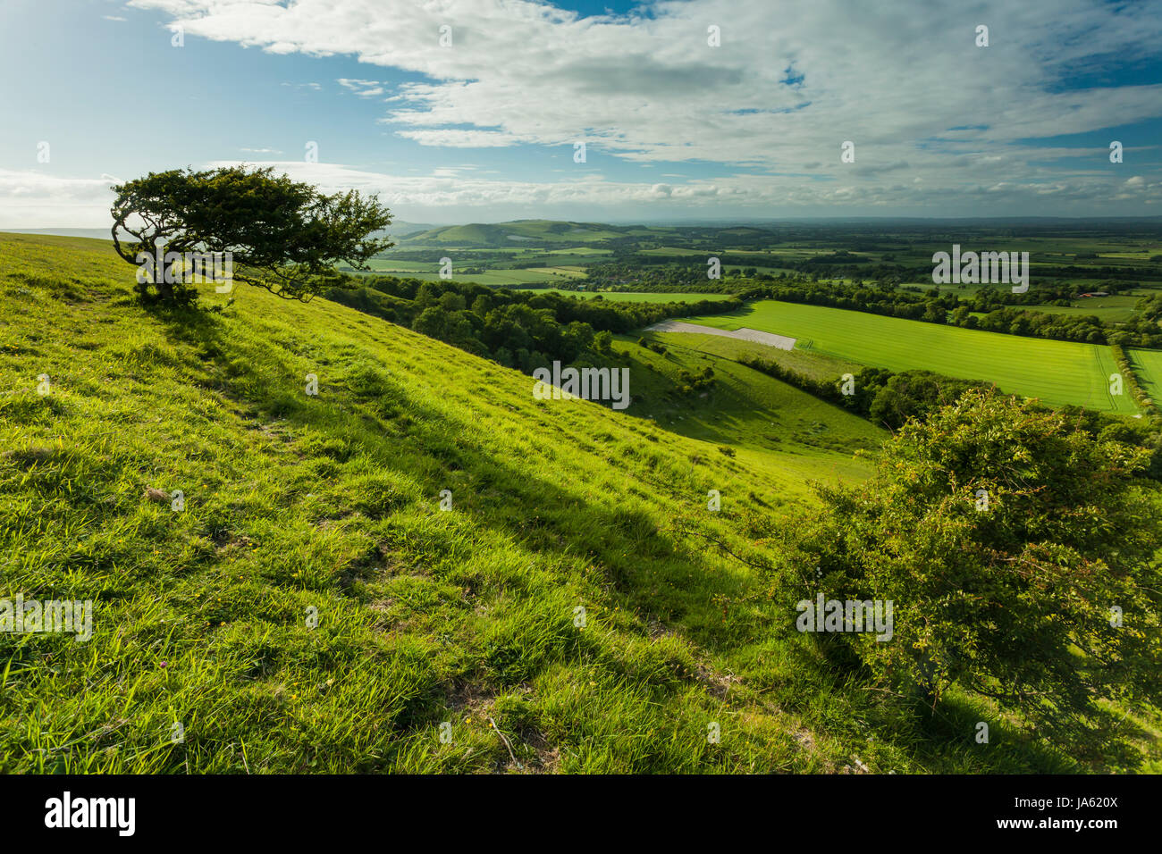 Frühling am Nachmittag an South Downs Way, East Sussex, England. Stockfoto