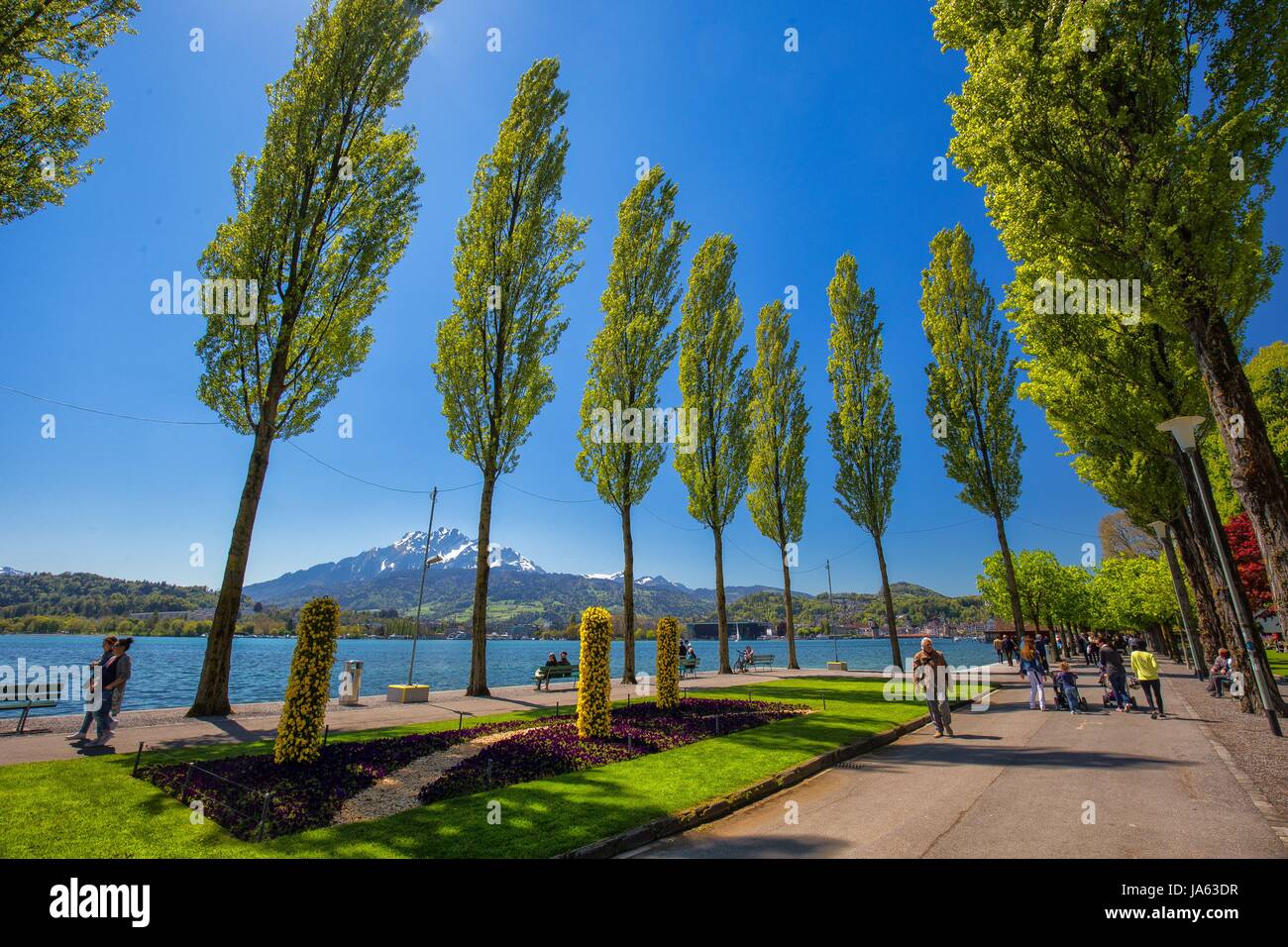 Luzern, Schweiz - Mai 2016 - Luzern-Promenade mit Pilatus Berg und Vierwaldstättersee, Schweiz, Europa. Stockfoto