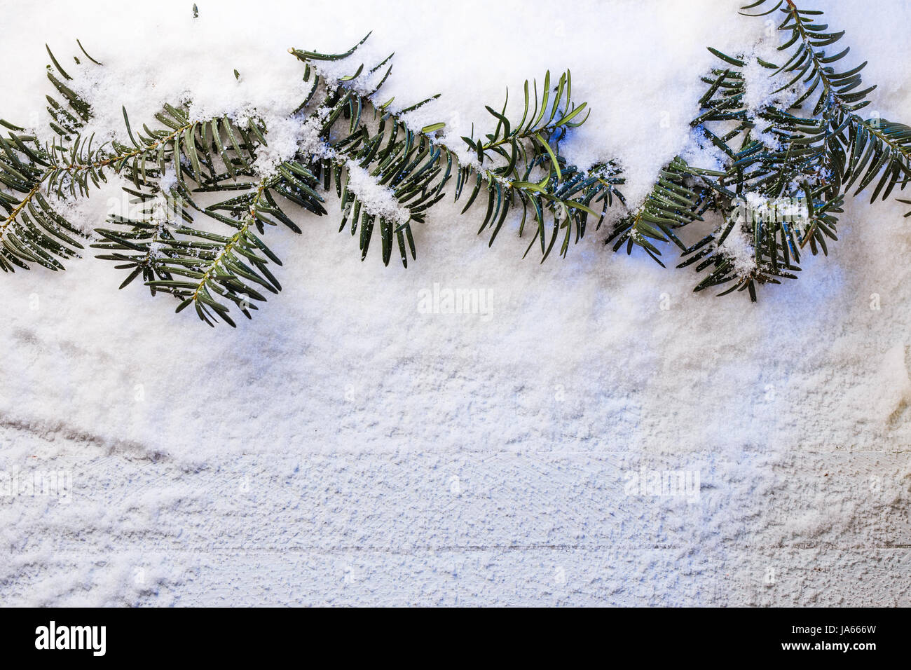 Verschneite Weihnachten Hintergrund mit Tannenzweigen. Stockfoto