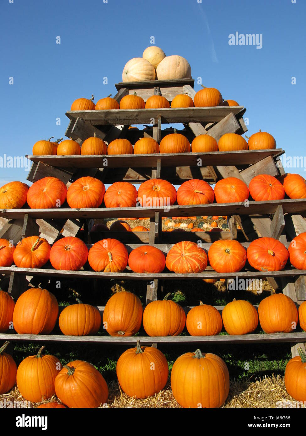 Orange, Lebensmittel, Nahrungsmittel, Landwirtschaft, Landwirtschaft, handgefertigtem, Früchte, herbstlich, Stockfoto