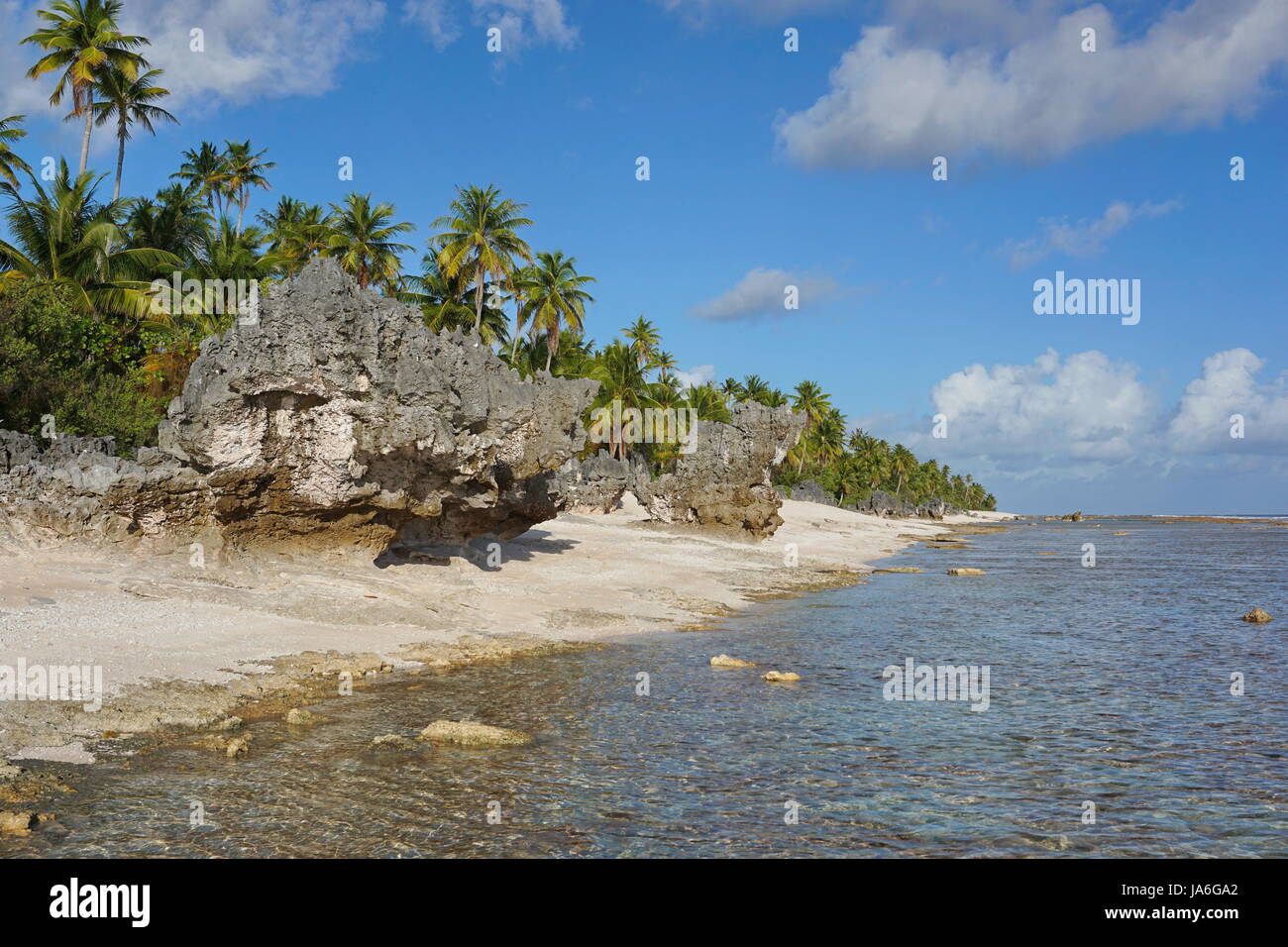 Atoll Tikehau Küstenlandschaft mit Kokospalmen und ausgewaschene Felsen am Meeresufer, Tuamotus Archipel, Französisch-Polynesien, Pazifischer Ozean Stockfoto