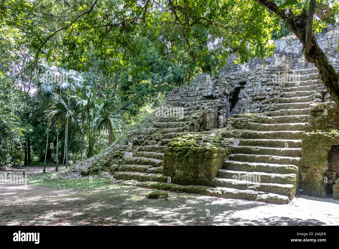 Maya-Ruinen in Tikal National Park - Guatemala Stockfoto