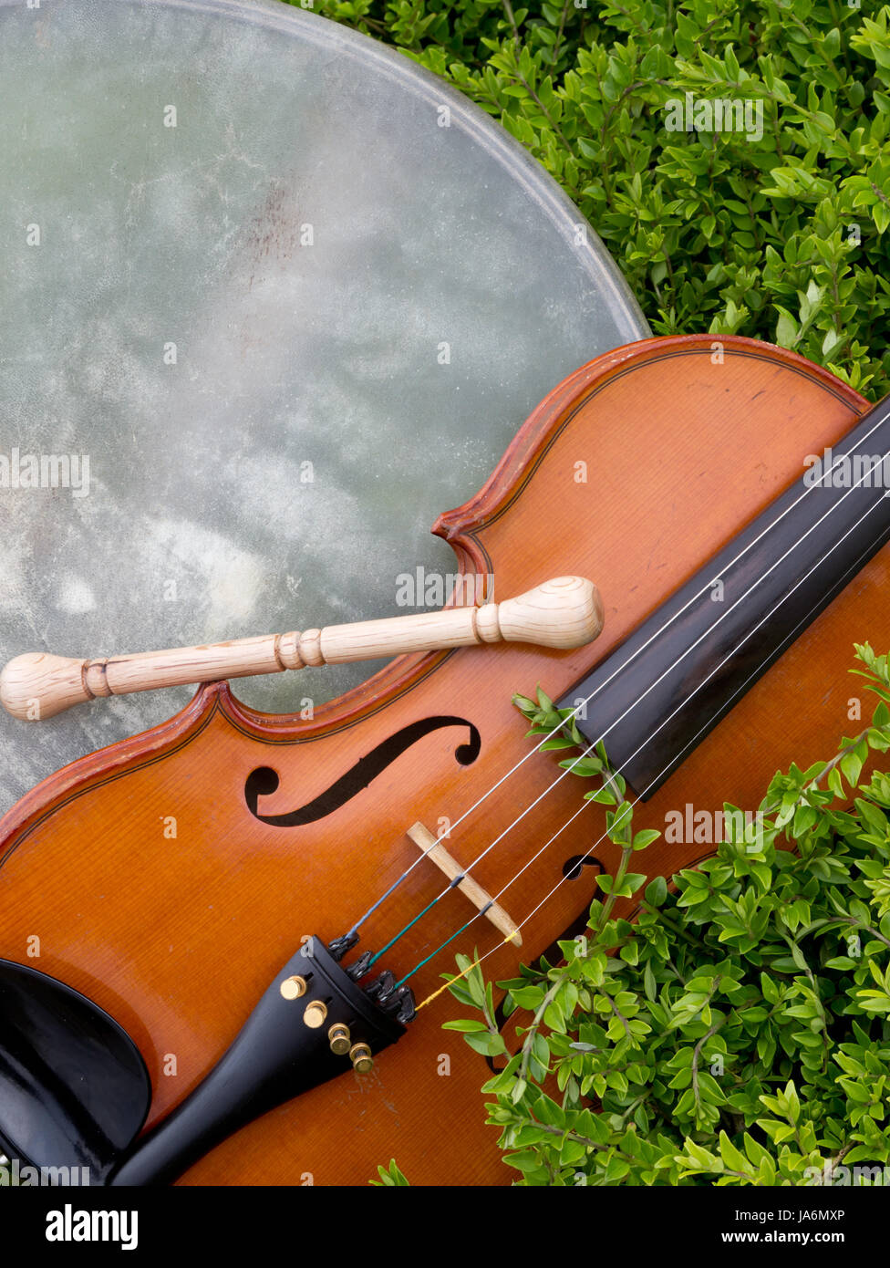 Konzert, Violine, Volksmusik, Maßnahme, Instrument, Methode, Trommel, Konzert, Musik, Stockfoto
