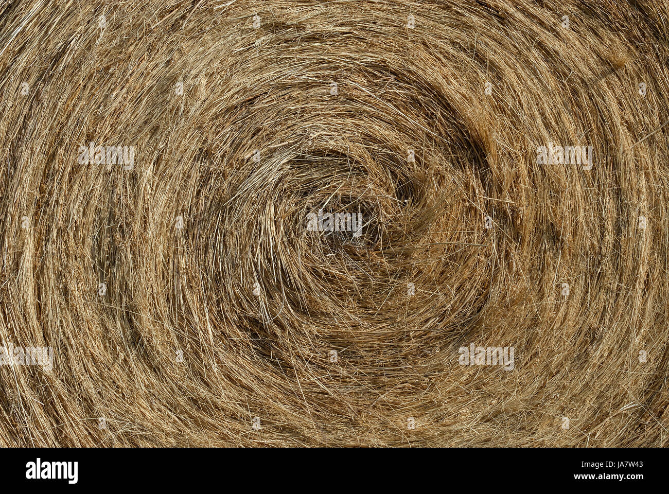 Heu Ballen Nahaufnahme Stockfoto